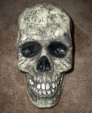 Skull.jpg