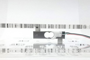 Loadcell scale 2.jpg