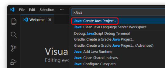Language - Java - Phidgets Support